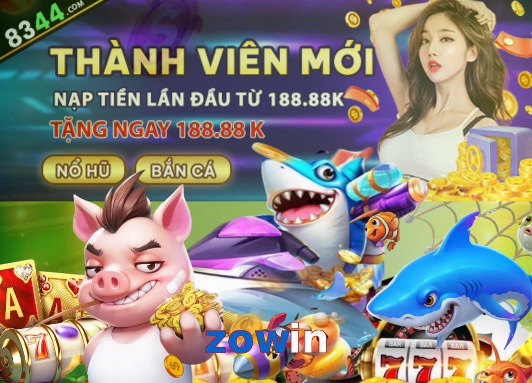 Tổng quan về nhà cái zowin